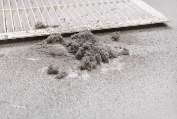 Best Air Duct Cleaning Company Near Me  in Universal City, TX