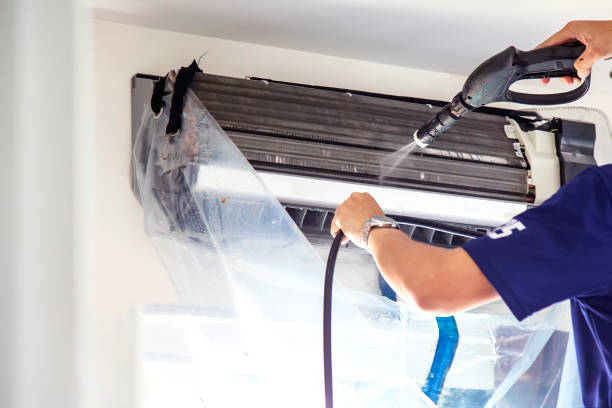 Best Air Duct Mold Removal  in Universal City, TX
