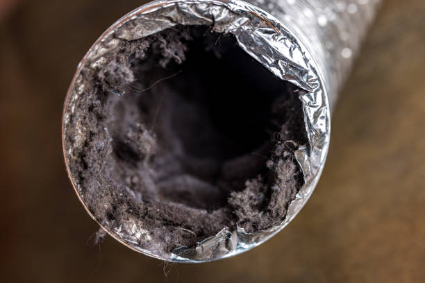 Best Residential Air Duct Cleaning  in Universal City, TX